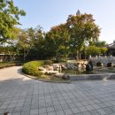 이미그레이션