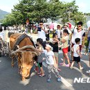 소달구지 뉴시스