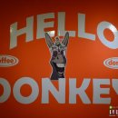 헬로동키 이미지