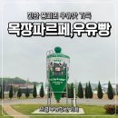젖소목장 | 충남 보령 가볼 만한 곳 우유창고카페 유기농 우유목장빵, 포토존 장소