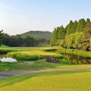 현충원로(유성-20) 이미지