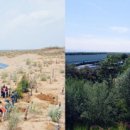 친환경태양목장 이미지