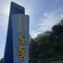 오동도 | 여수여행 오동도 다녀온 후기