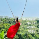 씨유 광주탄벌레드점 | 우붓왕궁, 아시타바, 발리스윙,우붓시장 흥정 팁 + 꾸따비치, 아리아두타 조식과 수영장 , 팜투어 광주점