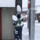 콘서트375 이미지