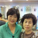궁전미용실 - 인제군 | 궁전미용실