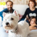 라온 반려 동물병원 이미지