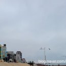 오이도선사유적공원(후문) 네이버블로그