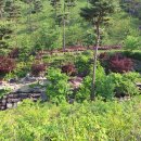 산청 동의보감촌 이미지