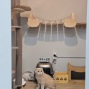 24시 봉담동물의료센터 이미지