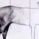 제과·제빵기능사 이미지