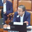 세정장묘 네이버블로그