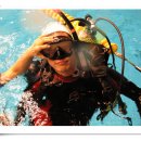 올림픽수영장 이미지