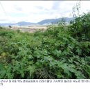 낙동강변6 이미지