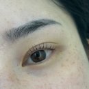 용산-219 | 용산역 , 속눈썹펌 맛집 <에뜨무아> 노글루 베이직 수분펌 후기