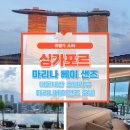 [공지] 싱가포르 내돈내산 마리나베이샌즈 호텔 숙박 리뷰