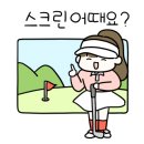 필스크린골프 이미지