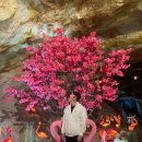 너희집 | [충주]예상 밖 재미! 너희들이 가고싶운 그 곳! 충주여행 활옥동굴 솔직 후기