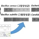 수산대장