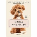웰인사이트