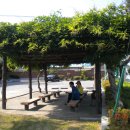 호동사슴목장 이미지