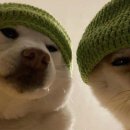 알찬하루 이미지