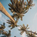 미지치과의원 이미지