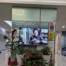 김광주산부인과 네이버블로그