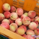 호기농장 이미지