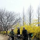 나루터로 27 (3) 이미지