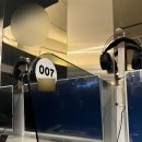 샤크PC방 | 수영복 리뷰 졸린 - 샤크 페리 26