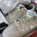 공룡노래연습장 이미지