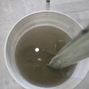 완도읍-4 이미지