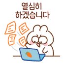 와우펫 이미지