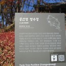 강경젓갈시장 Daum카페