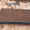 판산골농장 이미지