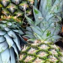 파인애플 이미지