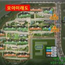 모아미래도건너 이미지