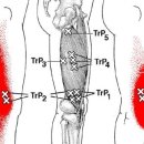 나눔케어 이미지