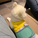 영통시네마 이미지