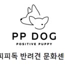 피피독 이미지