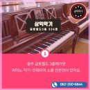 삼익, 영창 종합악기 이미지