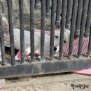 형제 공업사 이미지
