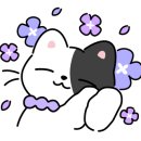 구지로R 이미지