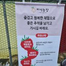 지석농장 이미지
