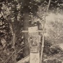 맥켄지가 찍은 1907년의 모습들.. 이미지