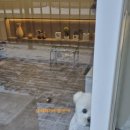 오도르봉 이미지