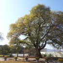 덕과초등학교 이미지