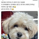 장마트 이미지