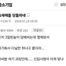 현재 인스타에서 논란중이라는 중소기업 신입 질문...jpg 이미지